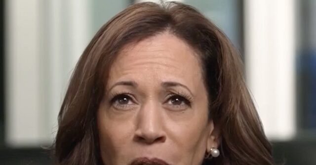 onfirenews2's tweet photo. Joel Pollak Joins Timcast to Discuss 'The Agenda' for a 2nd Trump Term, Says Kamala Looked Like 'a Kid' in CNN Interview https://t.co/CUrK5y1hqD https://t.co/nExPbr4QT0