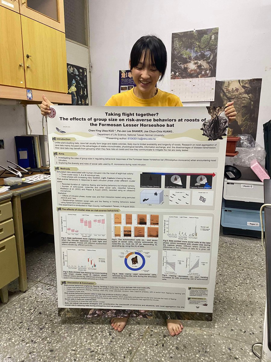 Joe Chun-Chia Huang (@ecojoehuang) on Twitter photo My student, Ukea, was excited about her first English presentation at the upcoming <a href="/ebrs2024/">EBRS2024</a> in Spain. <a href="/adria_baucells/">Adrià López-Baucells - Connecting Bats & People</a> <a href="/dlobo_wildlife/">David López-Bosch</a> <a href="/CmMontauban/">Cecilia Montauban 🦇🐾</a> #bat My student, Ukea, was excited about her first English presentation at the upcoming <a href="/ebrs2024/">EBRS2024</a> in Spain. <a href="/adria_baucells/">Adrià López-Baucells - Connecting Bats & People</a> <a href="/dlobo_wildlife/">David López-Bosch</a> <a href="/CmMontauban/">Cecilia Montauban 🦇🐾</a> #bat
