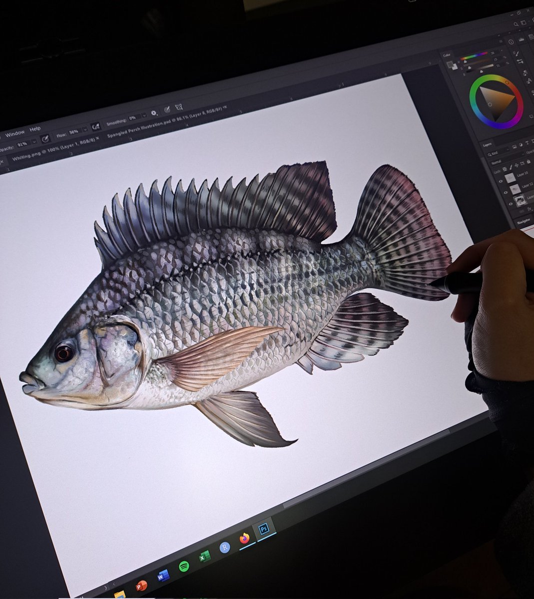 ReneCampbellArt's tweet image. Have barely illustrated/painted/drawn for an entire year. And today I drew these two fish. Bizarre.

#SundayFishSketch