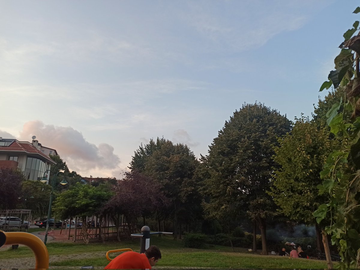 Kemalkermoglu's tweet photo. @uskudarbld küçüksudaki bu parkta mangal serbestmi ? Biraz mangal yapilmaz tabelasina ihtiyaç var galiba çocuklar dumandan oynayamıyor https://t.co/RIJUJTTm0M