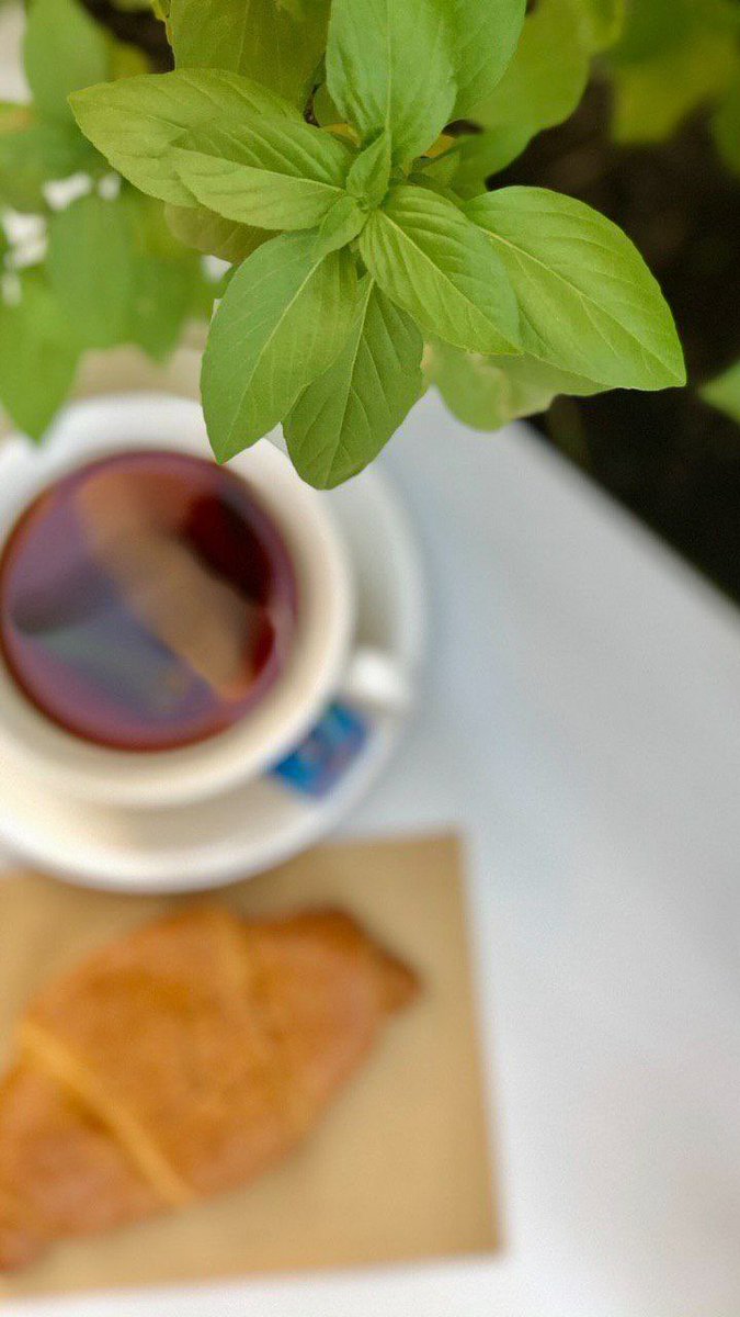المسرات اليوميه  اللي تطيب خاطري 🧡

 #مساء__الخير