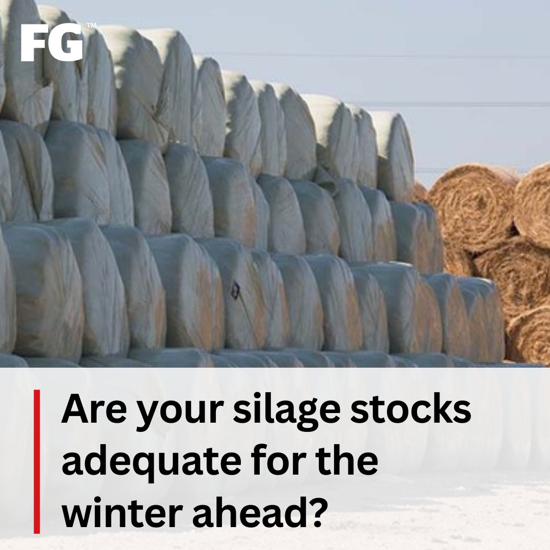 FarmersGuardian's tweet image. Daera and the College of Agriculture, Food and Rural Enterprise in Northern Ireland advise how farmers can prepare for the winter season ahead. ❄️ 

READ MORE 🔗 farmersguardian.com/news/4352243/c…
---
@daera_ni #farming #winter #silage