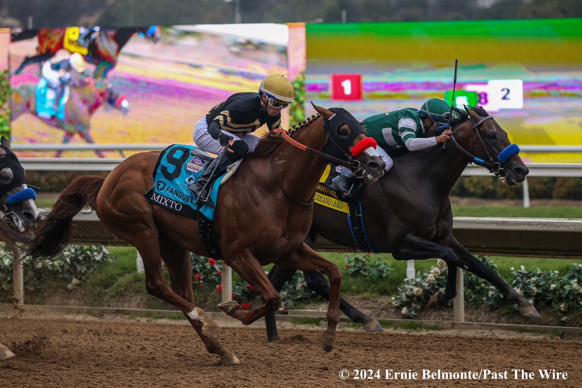 Loved the Horse,Loved the Win ! What happen to my 45-1 ?