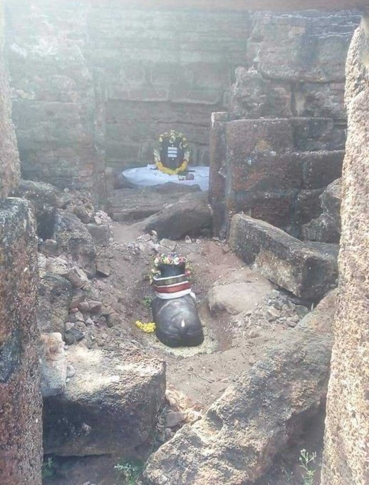 VertigoWarrior's tweet photo. Mahadev is everywhere🔱 https://t.co/YaQraXhqQq