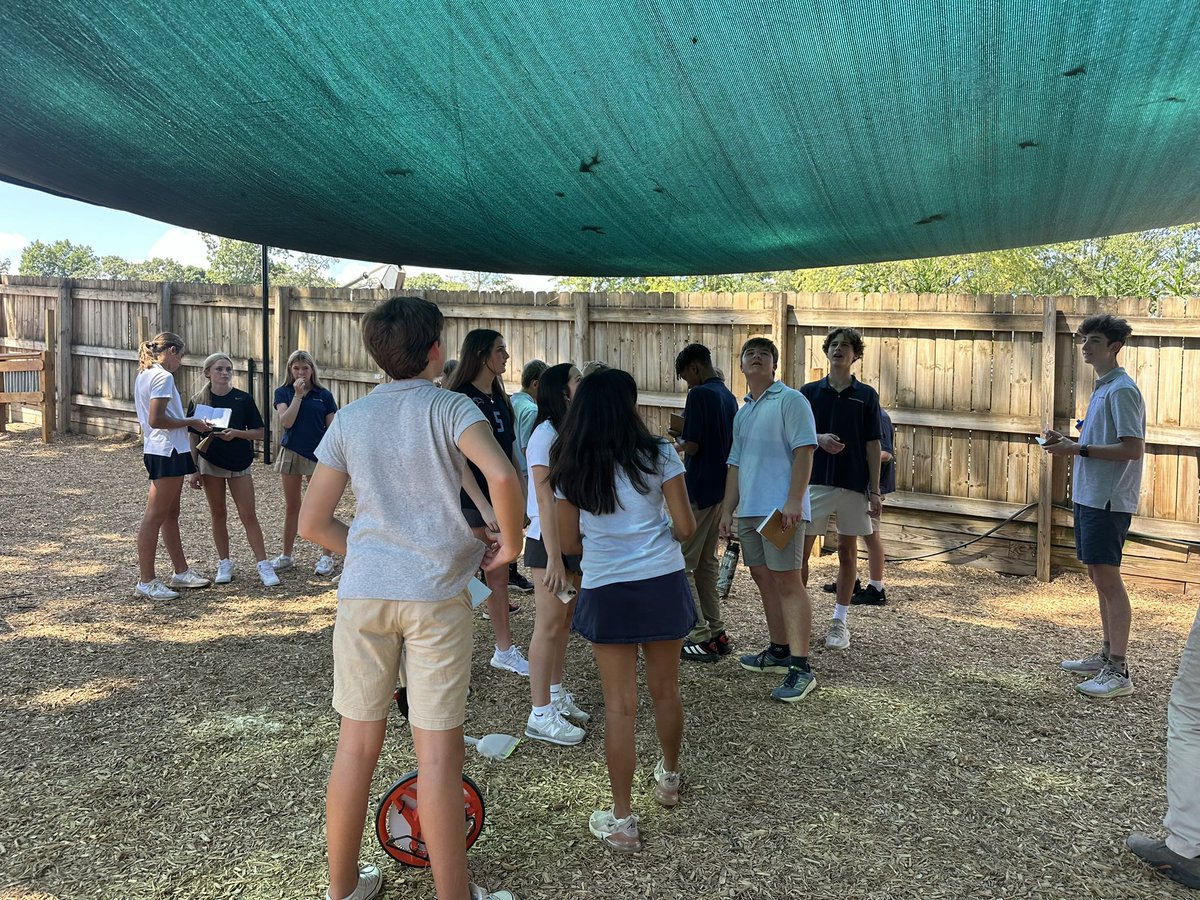 Nicole Martin tweet media