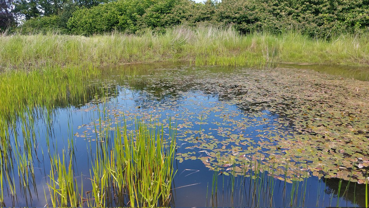 Bish bash bosh! 0 year, 1 year and 2 years on!!! #ghostpond