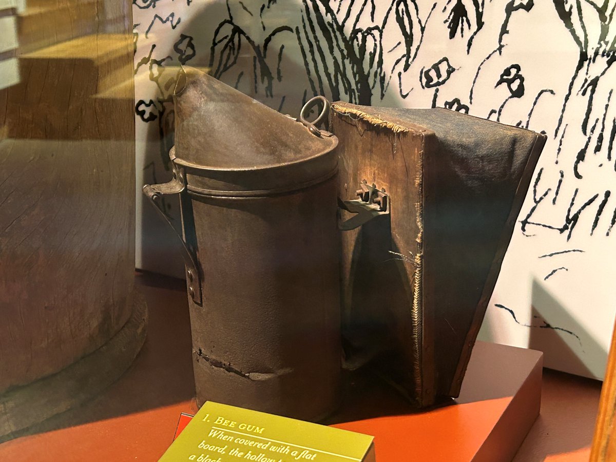 NCmuseumhistory's tweet image. #WhatIsIt?! Answer: This bee smoker (1860–1920) would have been used by farmers who kept bees. They would puff smoke to calm the insects before collecting honeycombs. #Bees are important to farmers. They pollinate the crops, as well as produce honey and beeswax for sale.