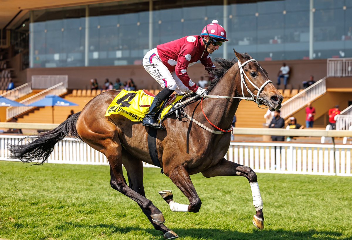 QUERARI ROSE showed improvement to win convincingly at Hollywoodbets Scottsville 

T - Michael Miller
J - Mathew Thackeray
O - Messrs Ryan King, Tony Jelinski &amp; Sterling M Miller
B - Oldlands Stud
Buyer - Alan Greeff
Purchase Price - R125 000

📸 <a href="/CandiesePhoto/">Candiese Lenferna</a> 

#CPYS2023