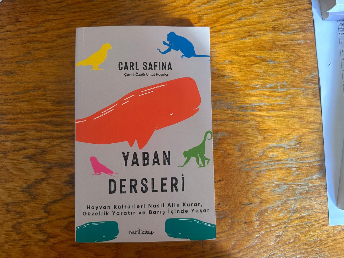 İstanbul Sosyoloji (@iuefsosyoloji) on Twitter photo Bugün bize gelenlerde Carl Safina'nın kaleminden Yaban Dersleri var. Özgür Umut Hoşafçı'nın Türkçeye kazandırdığı metin, Babil Kitap <a href="/babilkitapyayin/">Babil Kitap</a> tarafından yayımlandı.
✍️
"Yaban Dersleri, bizi serbest yaşayan hayvan topluluklarındaki bireylerle tanıştırıyor. Hayvanların Bugün bize gelenlerde Carl Safina'nın kaleminden Yaban Dersleri var. Özgür Umut Hoşafçı'nın Türkçeye kazandırdığı metin, Babil Kitap <a href="/babilkitapyayin/">Babil Kitap</a> tarafından yayımlandı.
✍️
"Yaban Dersleri, bizi serbest yaşayan hayvan topluluklarındaki bireylerle tanıştırıyor. Hayvanların