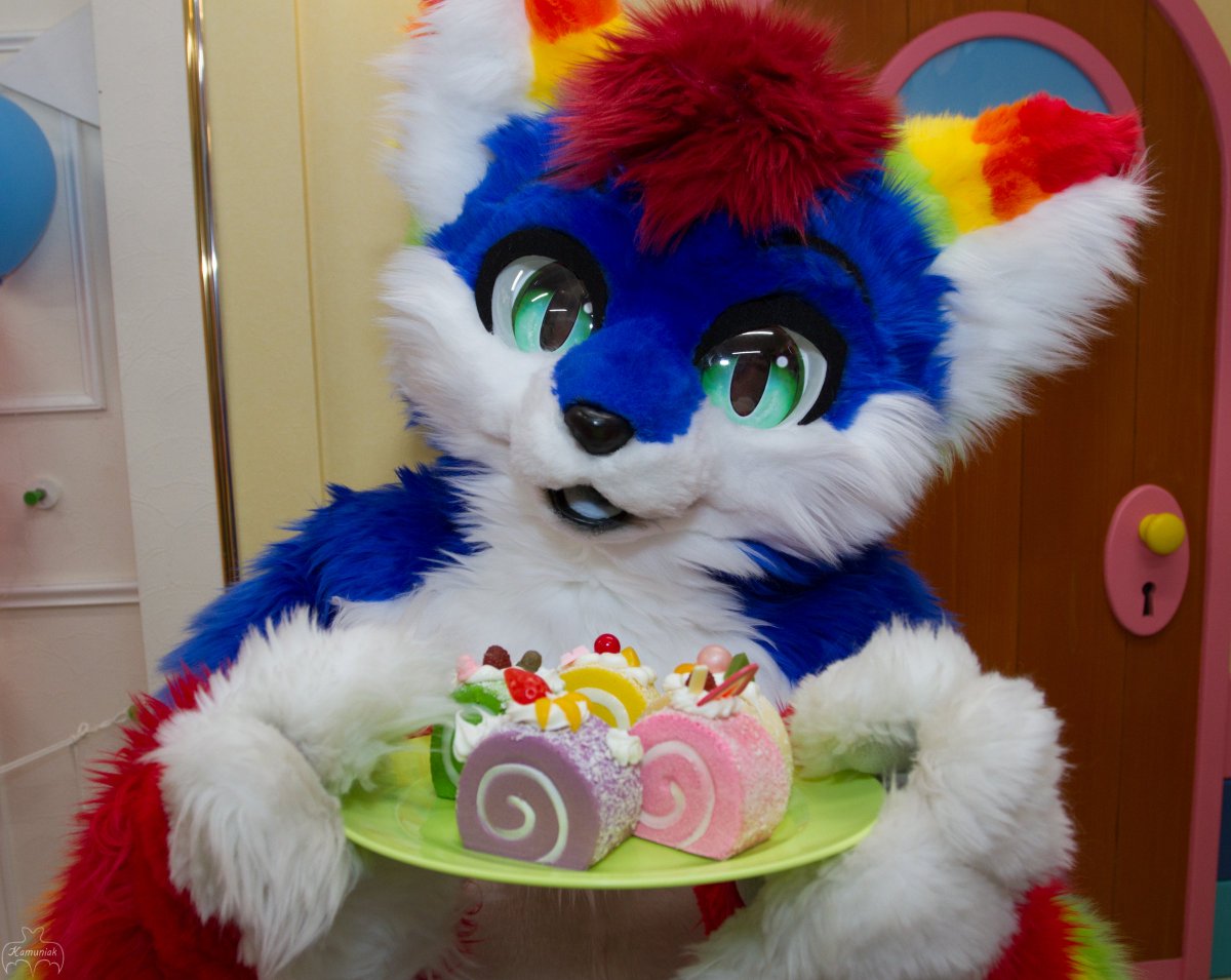 Tinka the Rainbow Fox tweet media