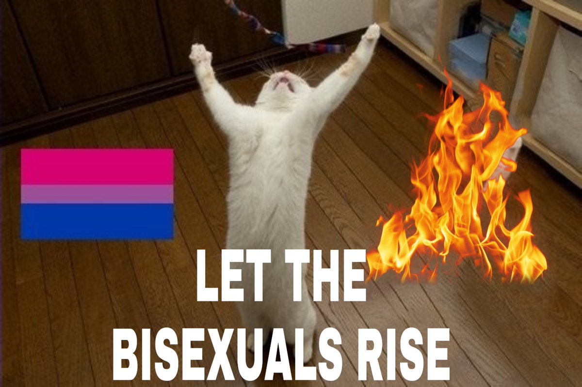 It's bisexual visibility month... you know what to do..
