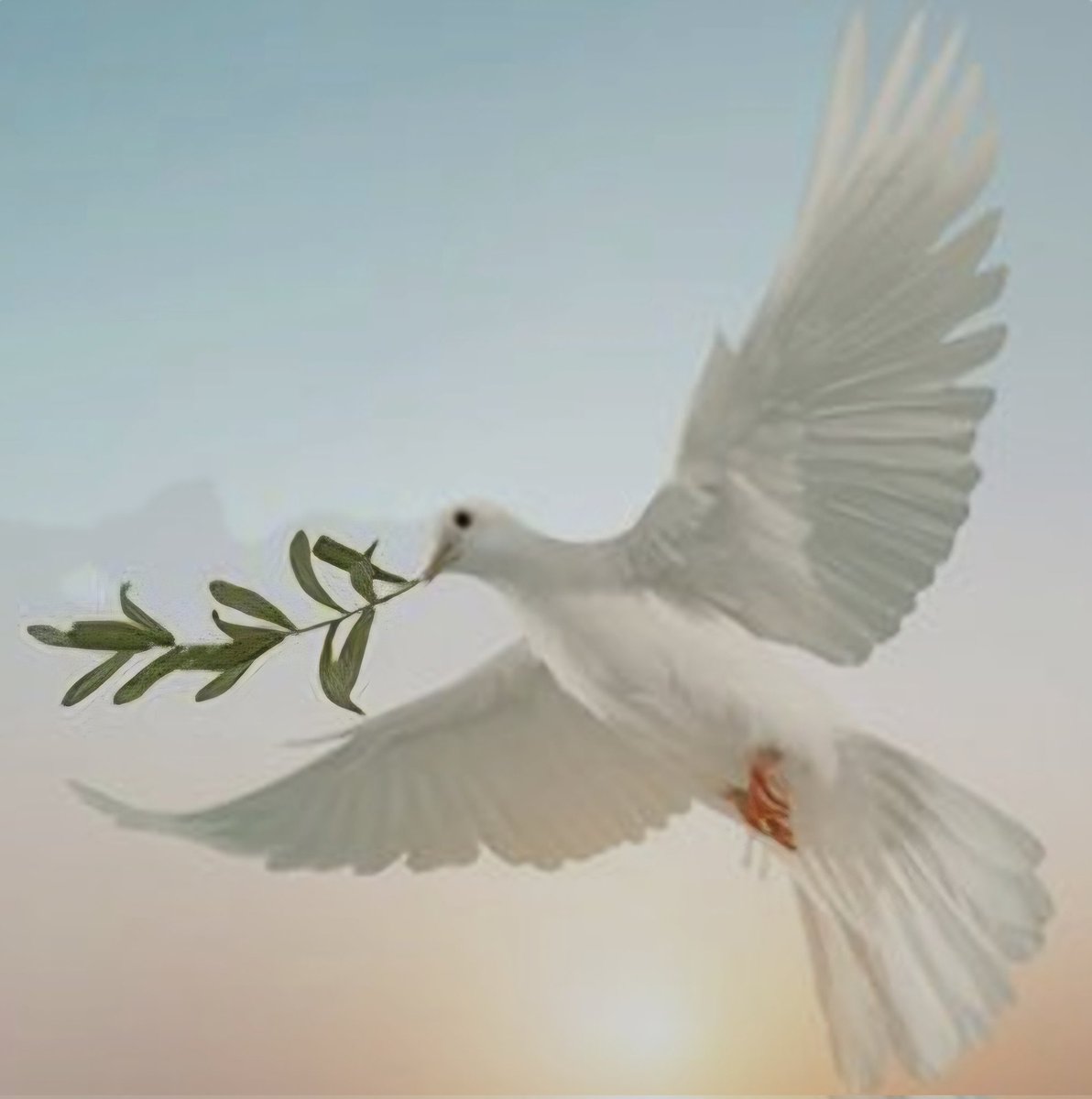 Mustafa80970474's tweet photo. #BarışGüzeldir 
#DünyaBarışGünü https://t.co/uYQcJmK2j7