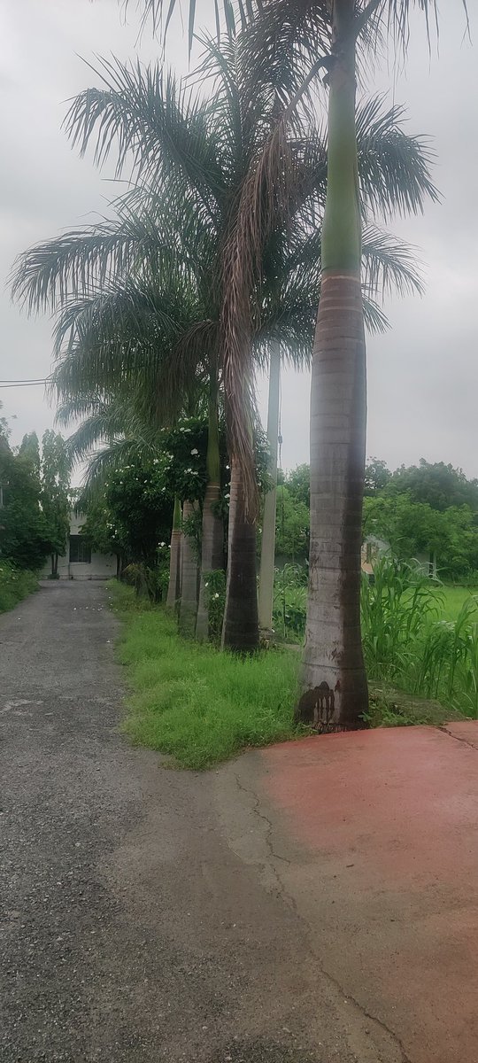 Sonia Dogra tweet media