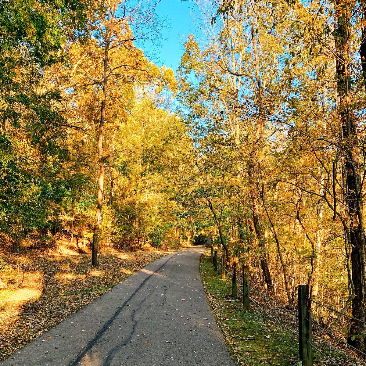 Happy actual September first! Just a few short weeks away from this beauty!

📷: Lindsay Ferrier
📍: Clarksville Greenway

#visitclarksvilletn #fall #greenway #outdoors #trails #fallbeauty #TNTourism #vacation