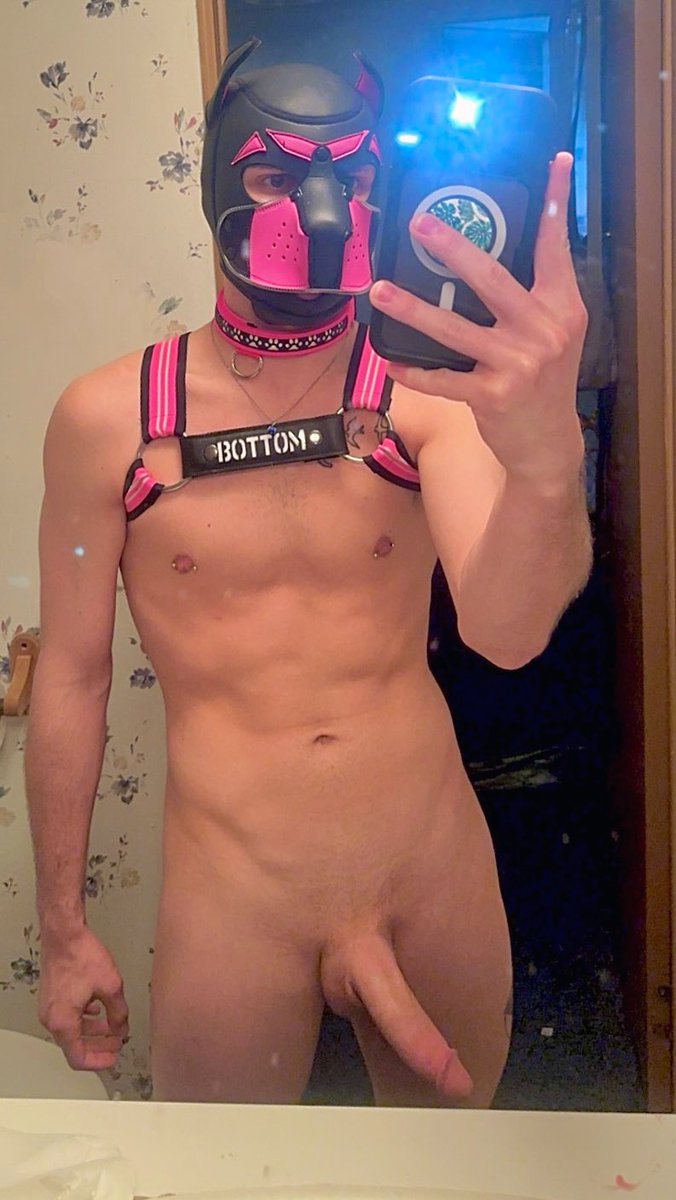 Rogue ♉️ tweet media