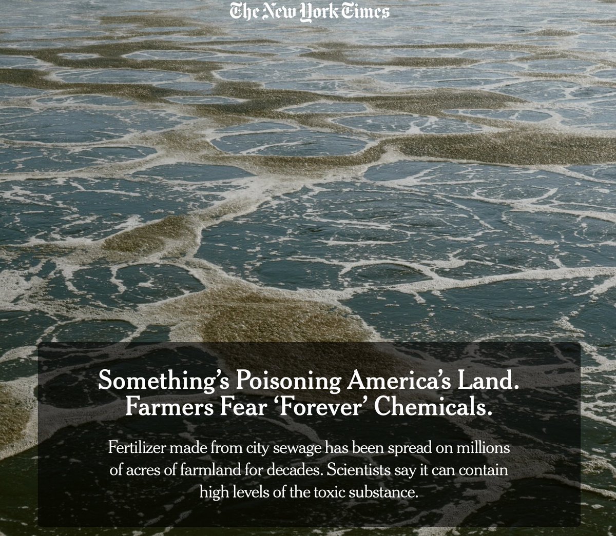 Sam Knowlton tweet media