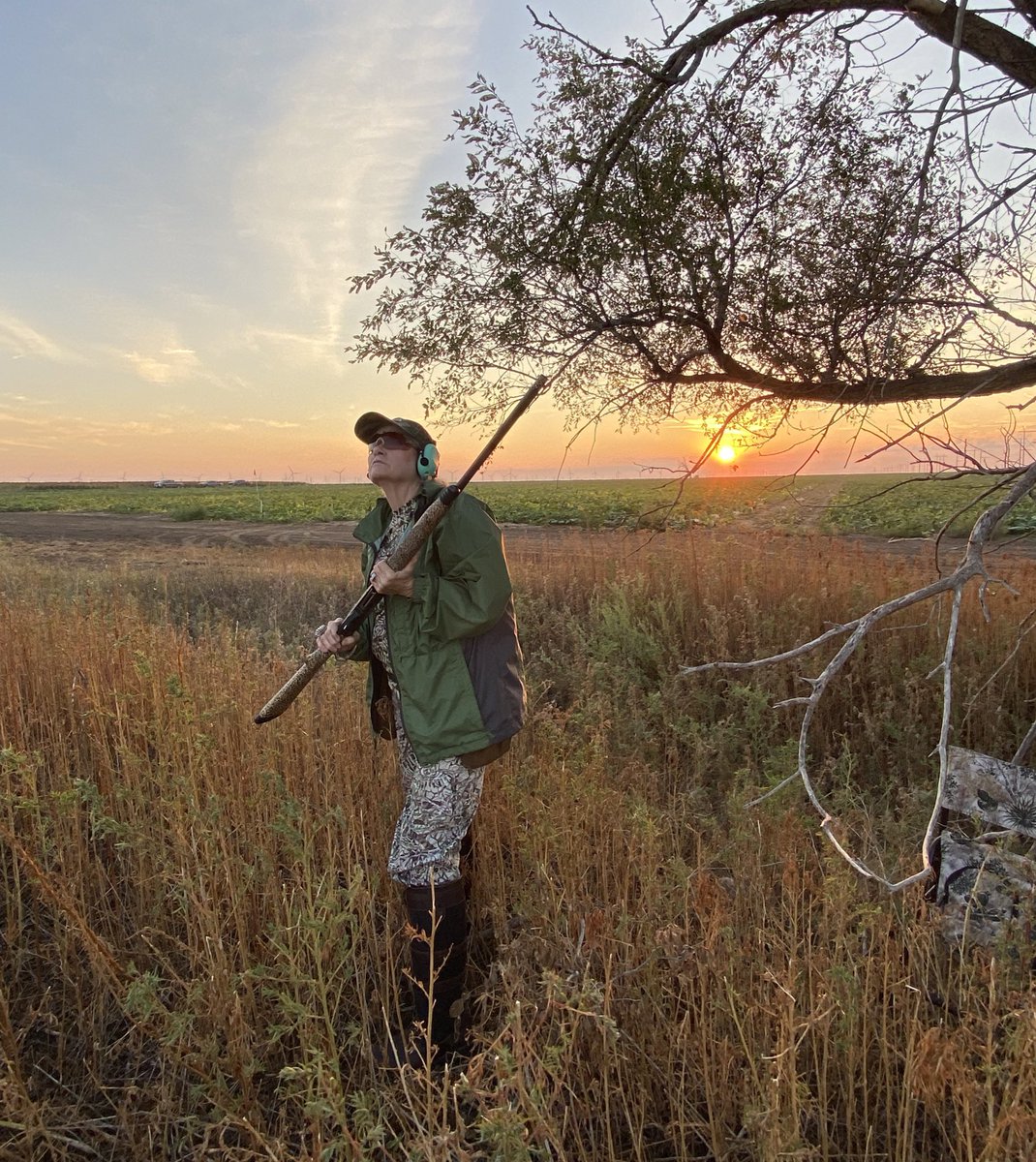 Happy Opening Day, dove hunters!

Texas has near record-high dove populations this year with about 34.3 million mourning doves and 12.8 million white-wings.

#DoveSeason 
#TexasHunting