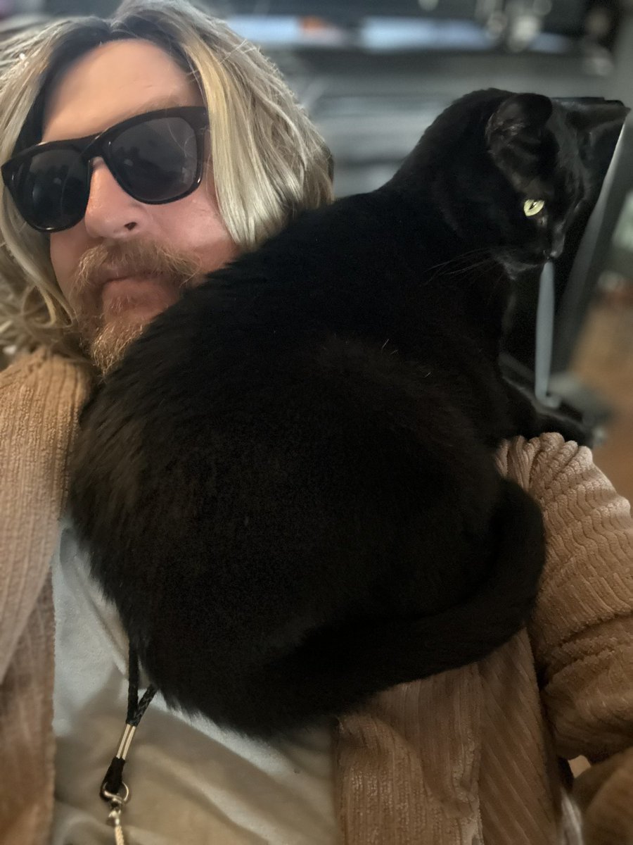 #thedude and Gigi this morning - I think she decided she likes the wig. #CatsOfTwitter