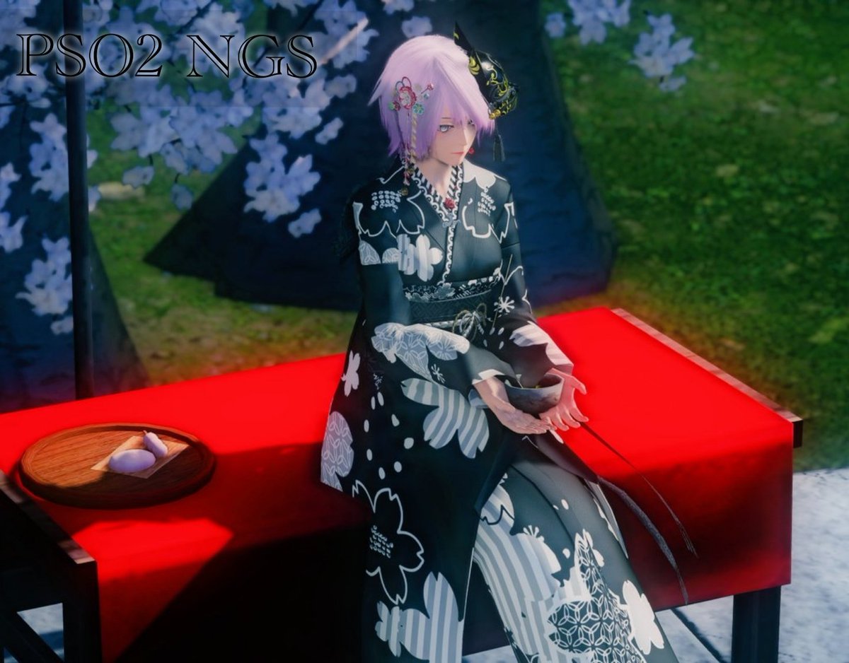 どこでもお茶屋買いました
#PSO2NGS_SS