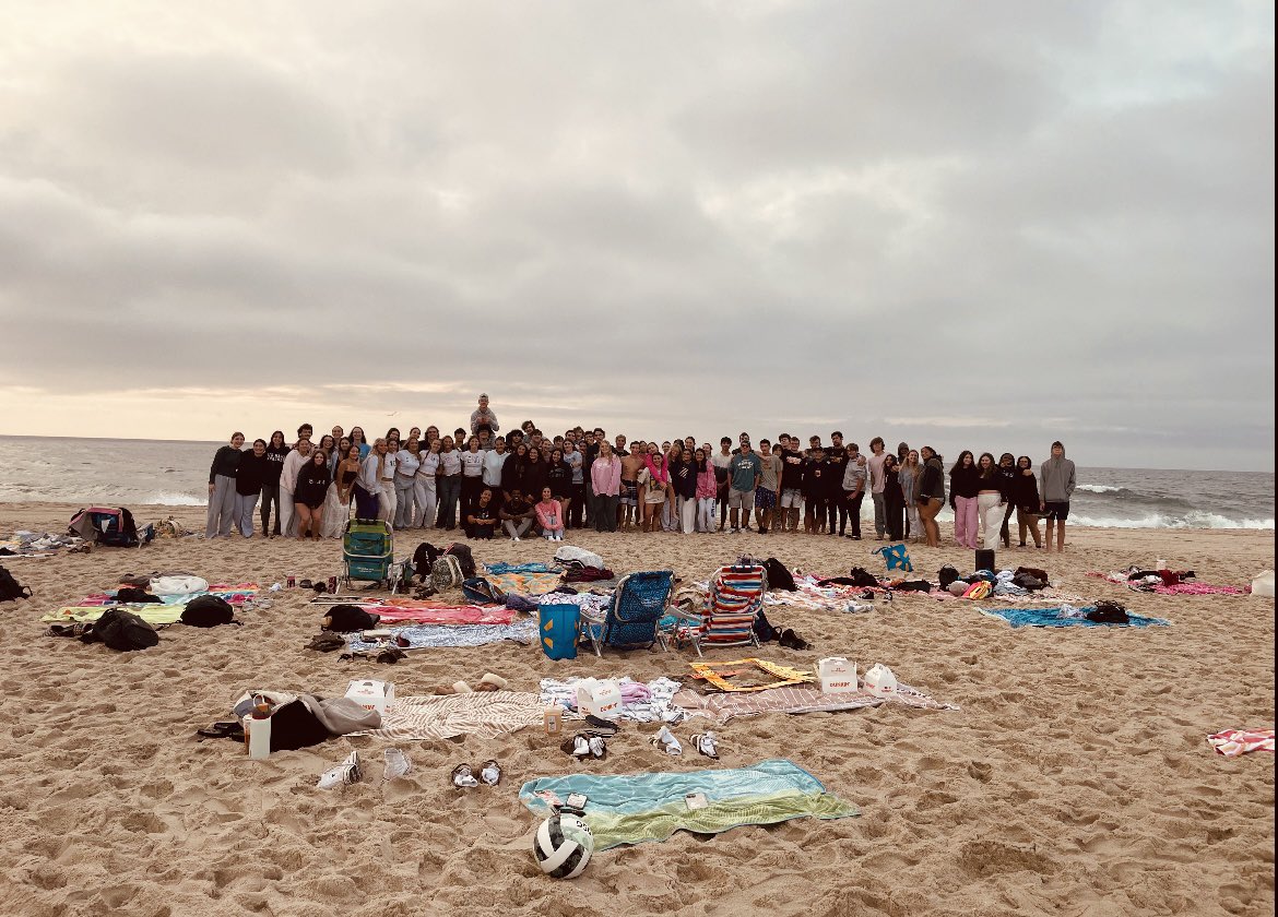 Daniel Hoffman tweet media