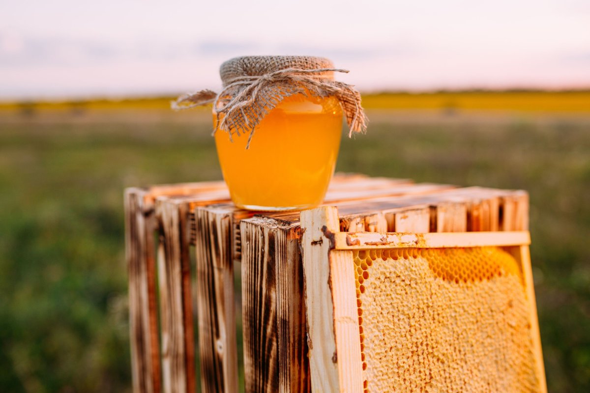 Happy #NationalHoneyMonth 🍯! Join us this September as we celebrate honey, honey bees and beekeepers all month long!