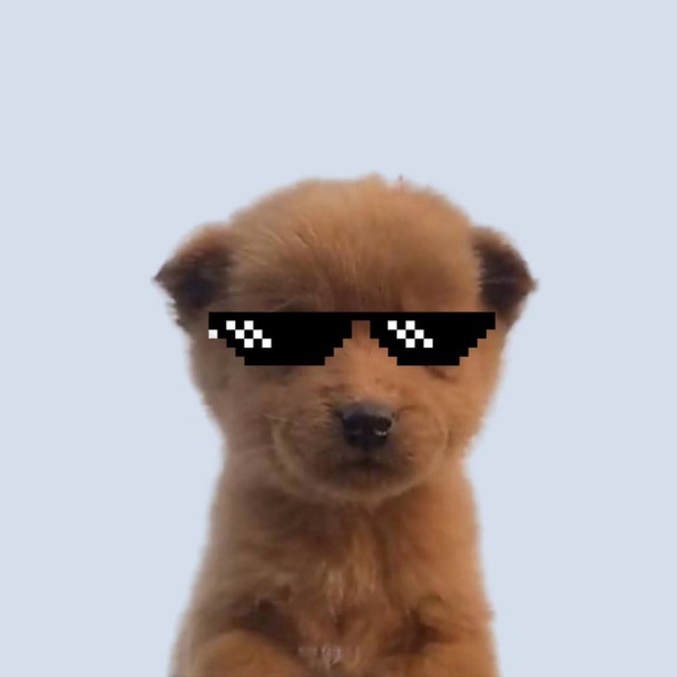 its_culture24's tweet photo. @pattyice GM chad from $GOOK https://t.co/NokZcc4LcF