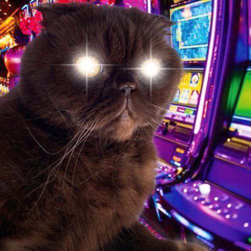 szn_crypto's tweet image. $NSC

entry at 30k

nihfDj7ruvBa8oMe8jTGNeLVAJ49nFTpcshKahbpump

But it’s gonna go much higher than that