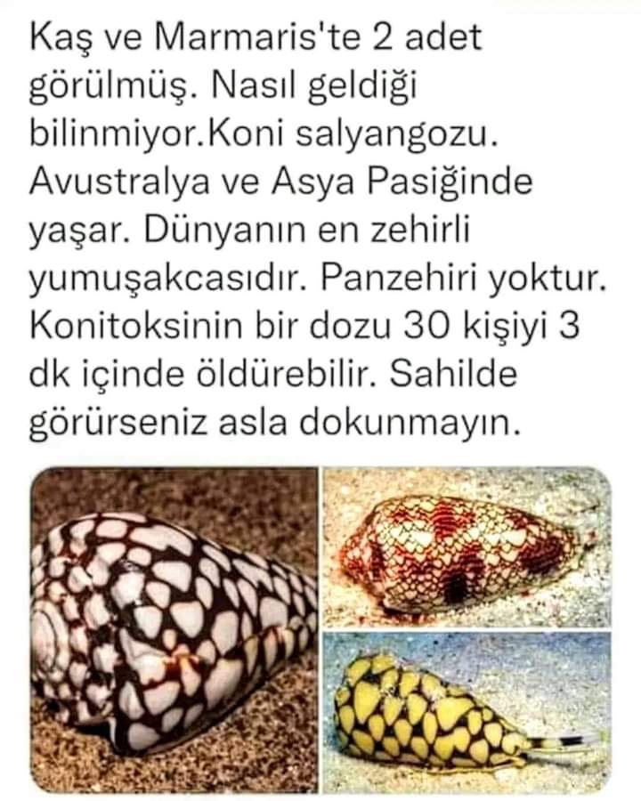Çok önemli bir 
UYARI.....
