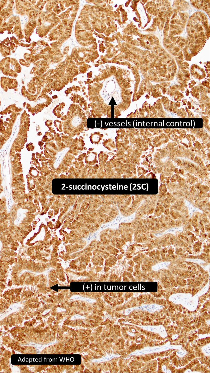 Charlie Herndon tweet media