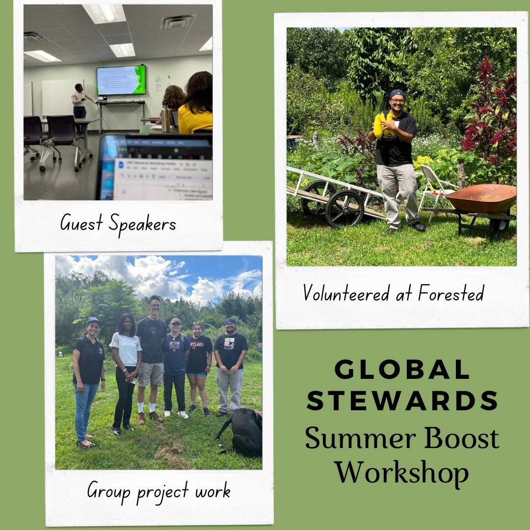 Summer Boost 2024 was a success⭐️
The STEWARDS worked on interdisciplinary FEW Systems group projects, volunteered at Forested🌳, and learned about grant development, mentoring, writing for publication and writing collaboratively!📚