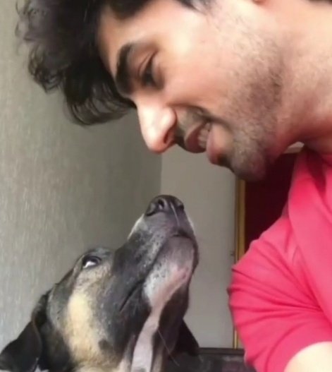 BepannaahNo1Fan's tweet photo. Dog Lovers 😘🤗 Smriti New Story 😎 Are they same dogs 🙈 #HarshadChopda #SmiritiKalra #Smrishad https://t.co/BvIuH6mvDB
