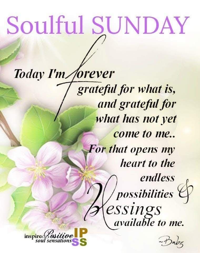 Live life in gratitude.