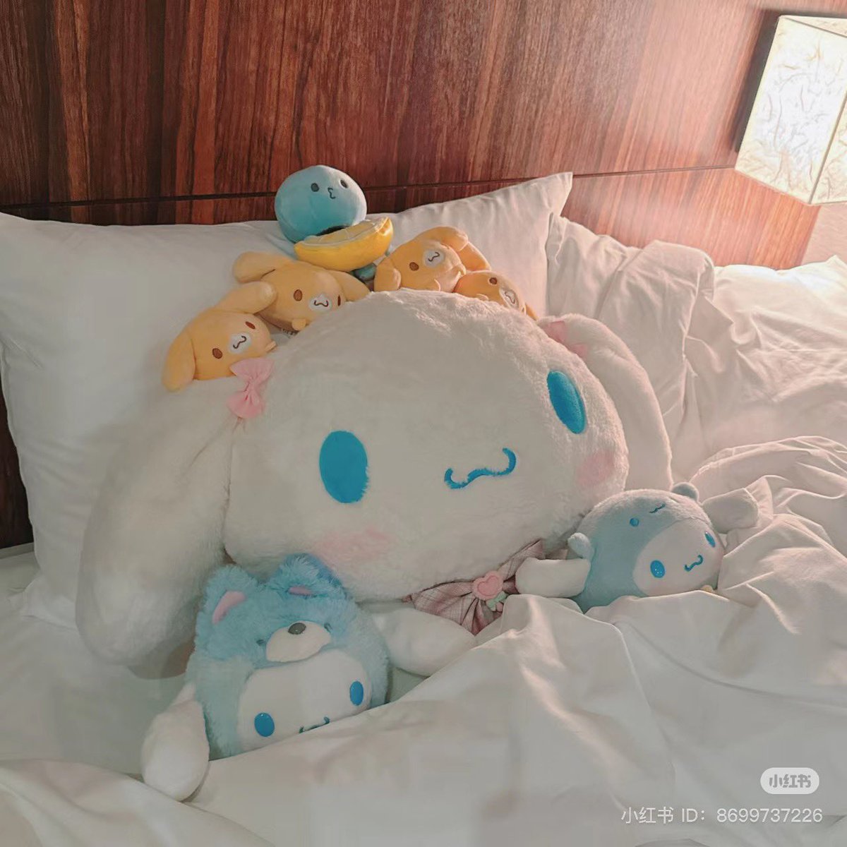 Me and my cats all tucked in