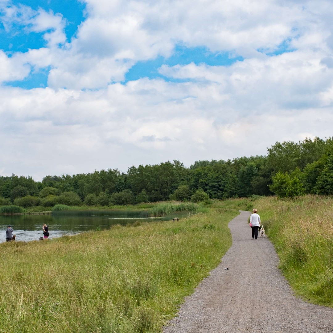 Has todays Wigan 10K inspired you to take up running?

With so much green space within our borough, there are many scenic routes that you can take to make running that bit more enjoyable.

Inspo pics:
📸 Pennington Flash
📸 Bridgewater Canal
📸 Amberswood