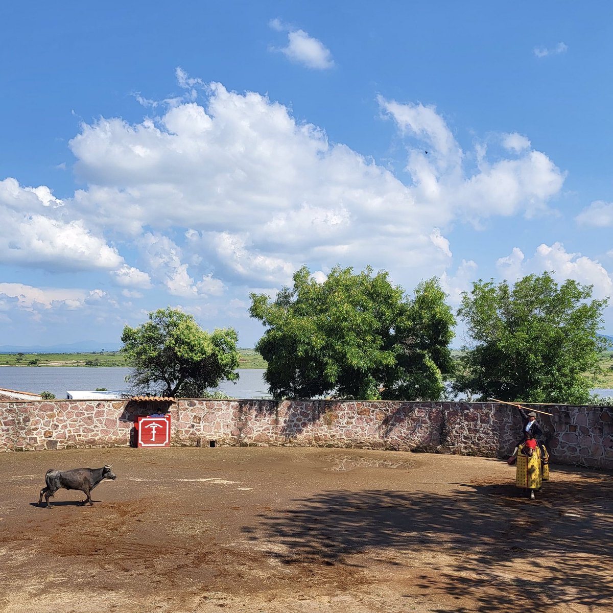 Gerard Mas tweet media