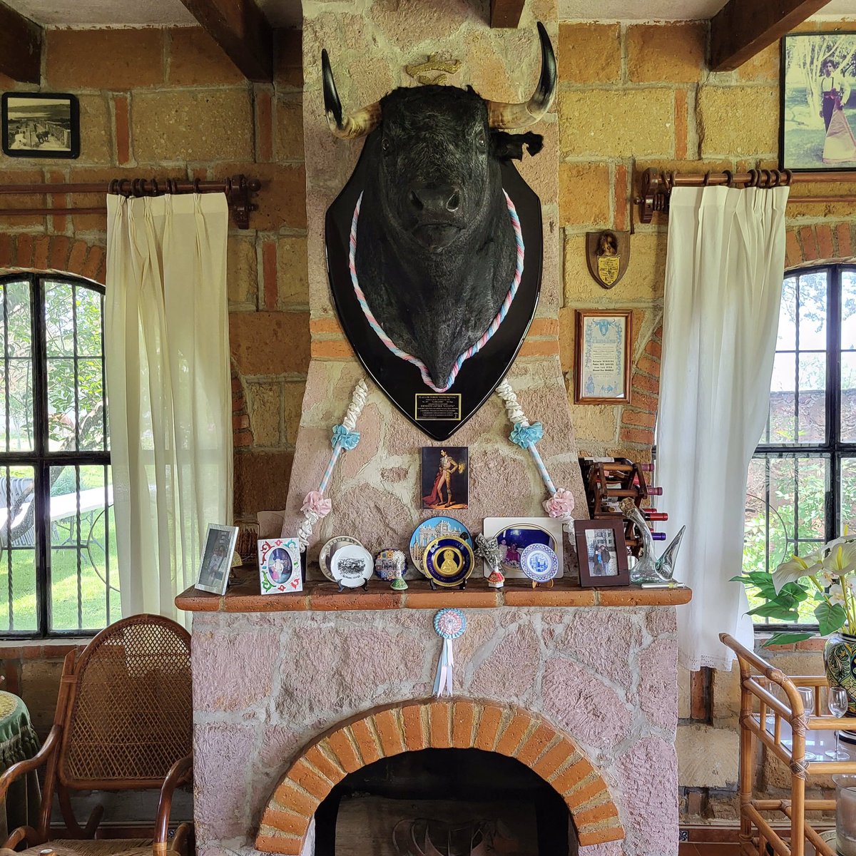 Sensacional tentadero en <a href="/GLaMuralla/">Ganadería La Muralla</a>. 5 de 6 vacas de nota muy alta, dos de ellas realmente extraordinarias. El matador Israel Téllez, después de torearlas nos retaba: “traten de buscarles un defecto que no lo van a encontrar”.