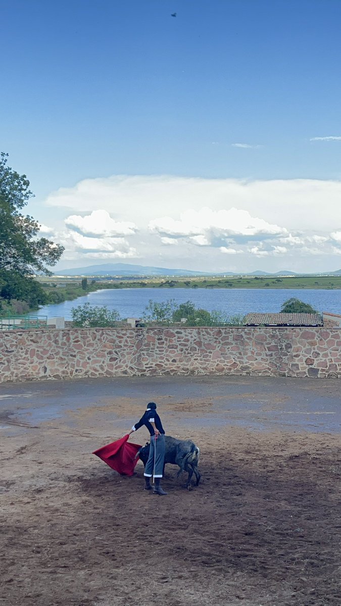 Ayer soñamos el toreo en <a href="/GLaMuralla/">Ganadería La Muralla</a> 🤍 dos vacas de nota Superior. Un sueño!!!! 

Más al rato pendientes al reel con el resumen 😮‍💨👌🏼