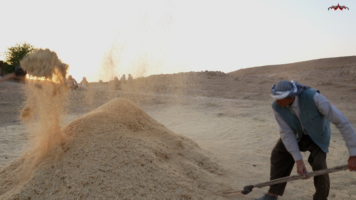 Parginarojava's tweet image. Bênder

Bênder ew cihê ku Cotyar bi baldarî hildibijêre ye da ku berhemên çandiniya xwe genim, nîsk û ceh lê kom bike.👇
pargin.org
#Pargîn #Bênder