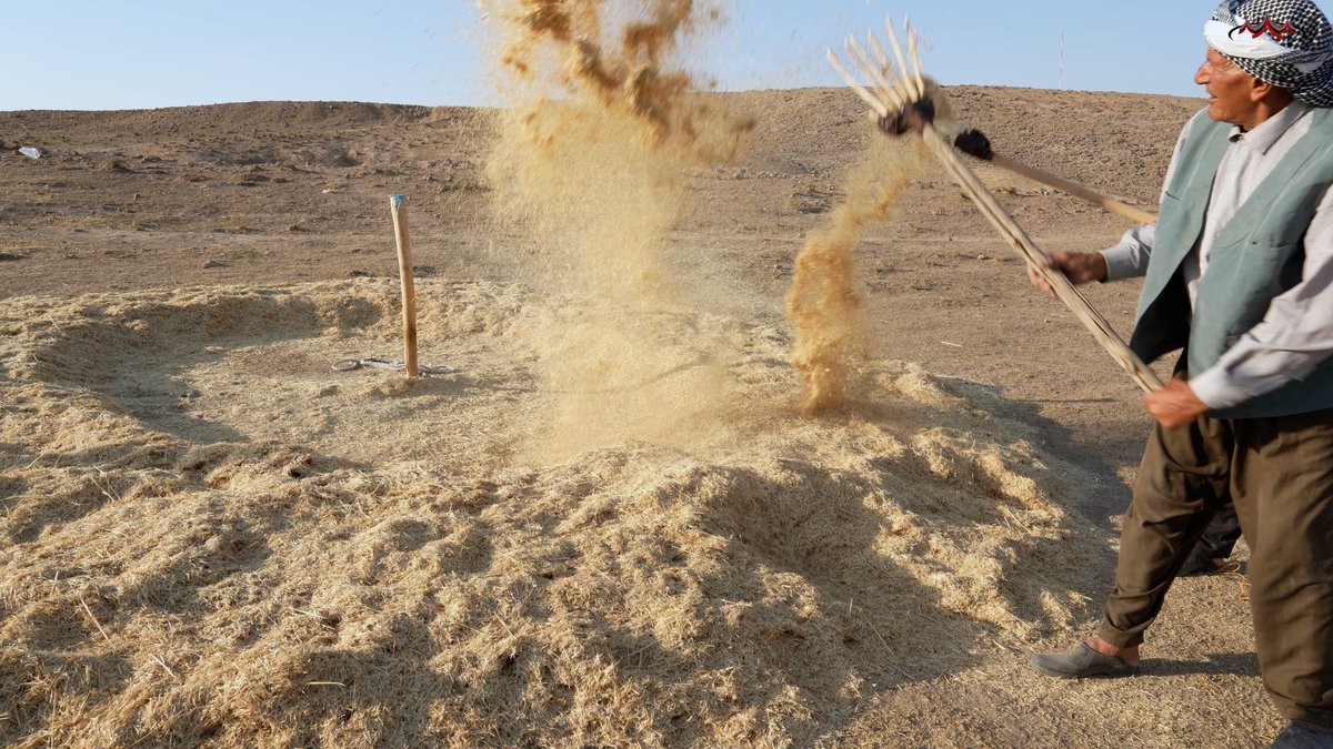 Parginarojava's tweet image. Bênder

Bênder ew cihê ku Cotyar bi baldarî hildibijêre ye da ku berhemên çandiniya xwe genim, nîsk û ceh lê kom bike.👇
pargin.org
#Pargîn #Bênder