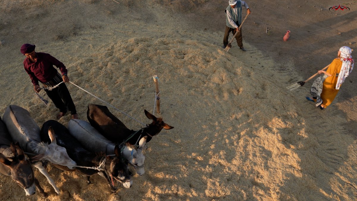 Parginarojava's tweet image. Bênder

Bênder ew cihê ku Cotyar bi baldarî hildibijêre ye da ku berhemên çandiniya xwe genim, nîsk û ceh lê kom bike.👇
pargin.org
#Pargîn #Bênder