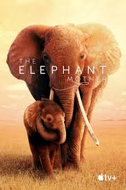 merlinpapin3's tweet photo. .@FredOL69007 On souhaite un Bon Anniversaire à #AlexHeffes qui a 53 ans Compositeur on lui doit les notes sur

Mafia Mamma
Goodbye
Mandela
The Big Ugly
Miss Bala
The Elephant Mother
Un nouveau Jour sur Terre https://t.co/IR6AKSCq4s