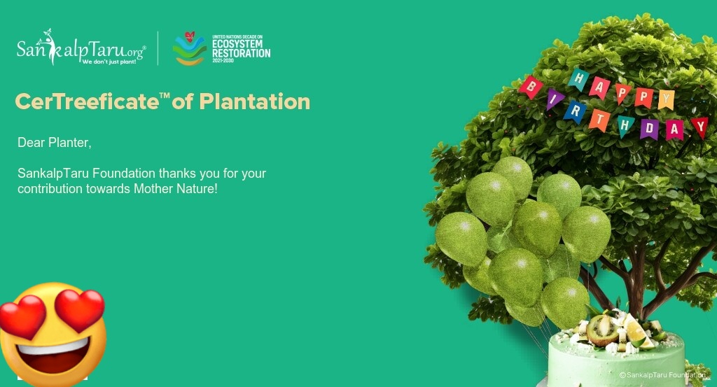 Mungarina_Minch's tweet photo. Happy Birthday Jungkook 🎂 🥳 🎉
Celebrating Jungkook's Birthday with Planting Trees 🌳 💜
#HappyBirthdayJungkook
#HappyJungkookDay
#HAPPYJKDAY
#JungkookBirthday
#JUNGKOOKDAY
@BTS_twt
#BTSARMY
#SaveNature
#PlantTreesWithJK
#SaveEarth #SaveOcean #SaveWildlife
#AdoptStrays https://t.co/5ATbqToHie