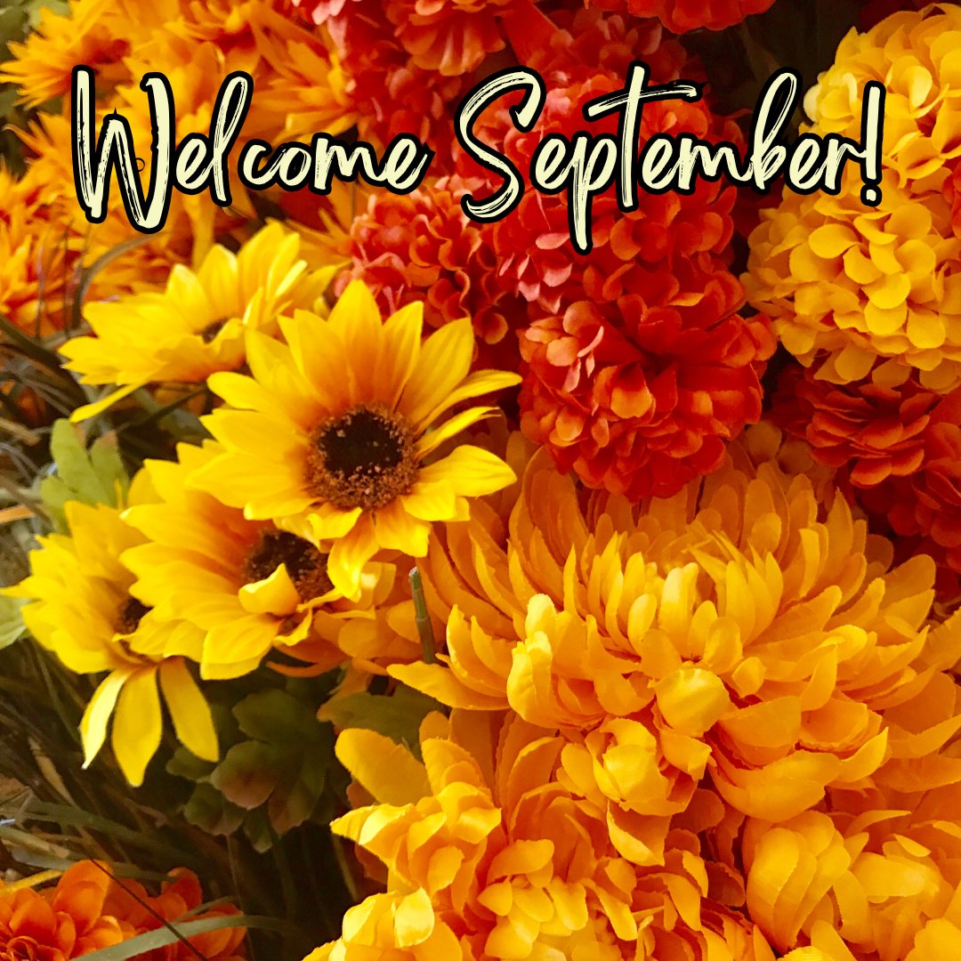 It's warm today but soon it will be time for sweaters and warm drinks and crisp mornings! Wishing you a beautiful Fall season, filled with all the gifts the season brings!
#september
#fallcolors
#crispmornings
#fallblessings