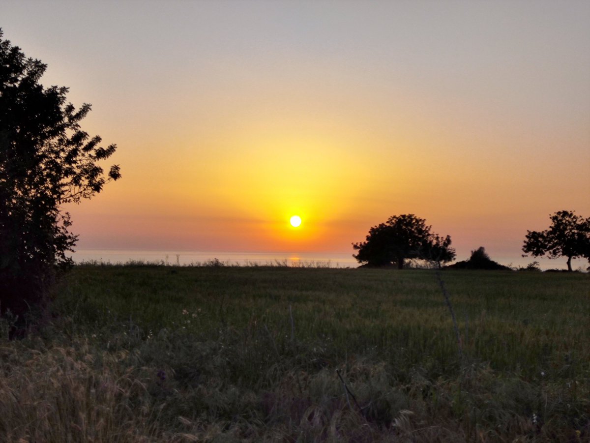 See Cyprus 🇨🇾 (MOVED ON TO #NOSTR) tweet media