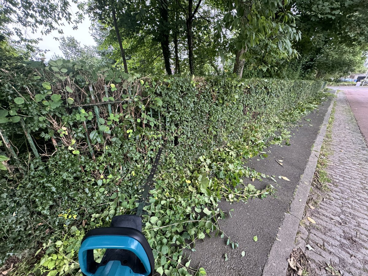 It’s the beginning of September, time to start on hedge trimming!