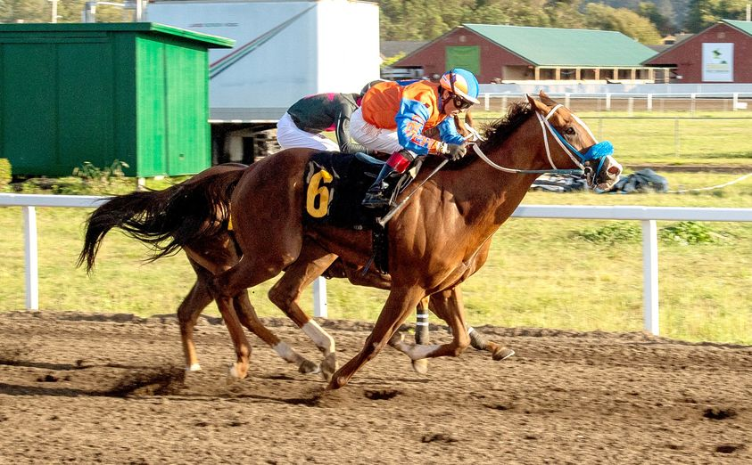 CARacingFairs's tweet photo. Hugo Herrera got a hattrick yesterday. Join us today for a 215PM First Post Time! Seven races at Ferndale! https://t.co/cvnOX6Xc5t