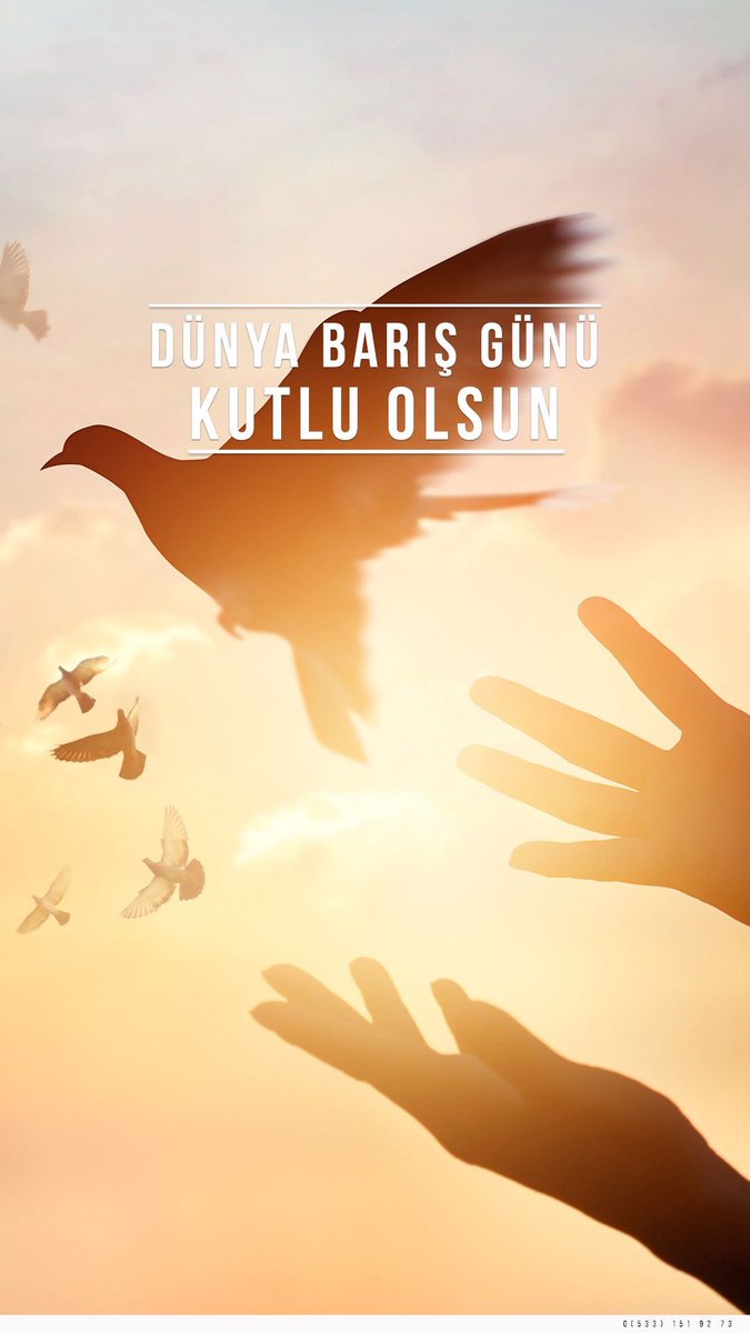 Dünya Barış Günü…
Hayvanlar ile barıştığımız…
Anlamsız savaşların bittiği…
Gün bugün olsun…
Kutlamak yetmesin, uygulama esas olsun…
Can-ı gönülden diliyorum…
*
#dünyabarışgünü #barış #hayvanhakları #iyipazarlar