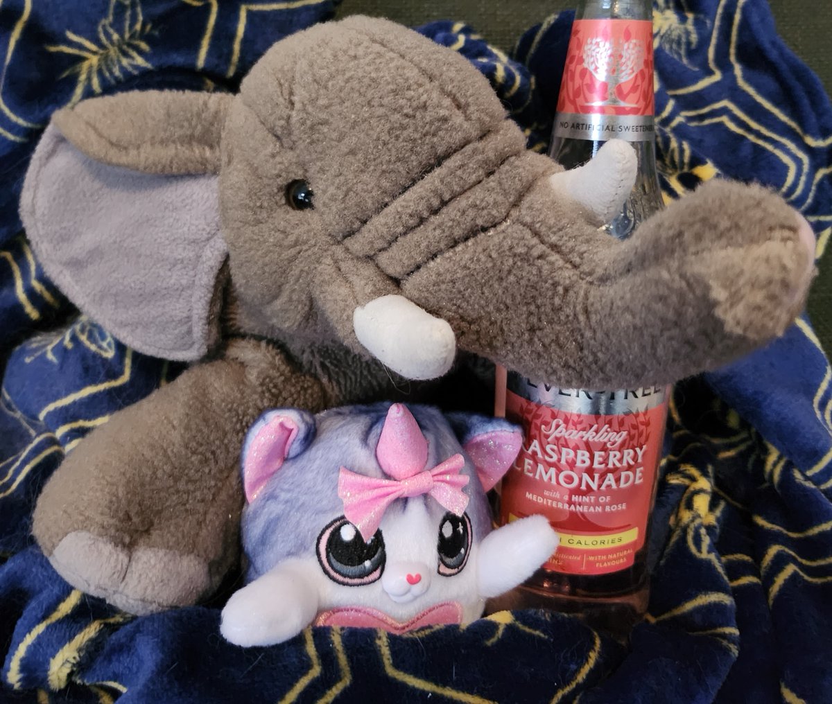 LibLourdes's tweet image. Day 1 of #SelfCareSeptember says &quot;Find time for self-care. It&apos;s not selfish, it&apos;s essential&quot;. #LibraryMascot Boba Felephant &amp;amp; I have taken this very seriously, tucked up in fluffy throws with cats &amp;amp; some delicious raspberry lemonade, as we catch up on Series 1 of #RingsOfPower