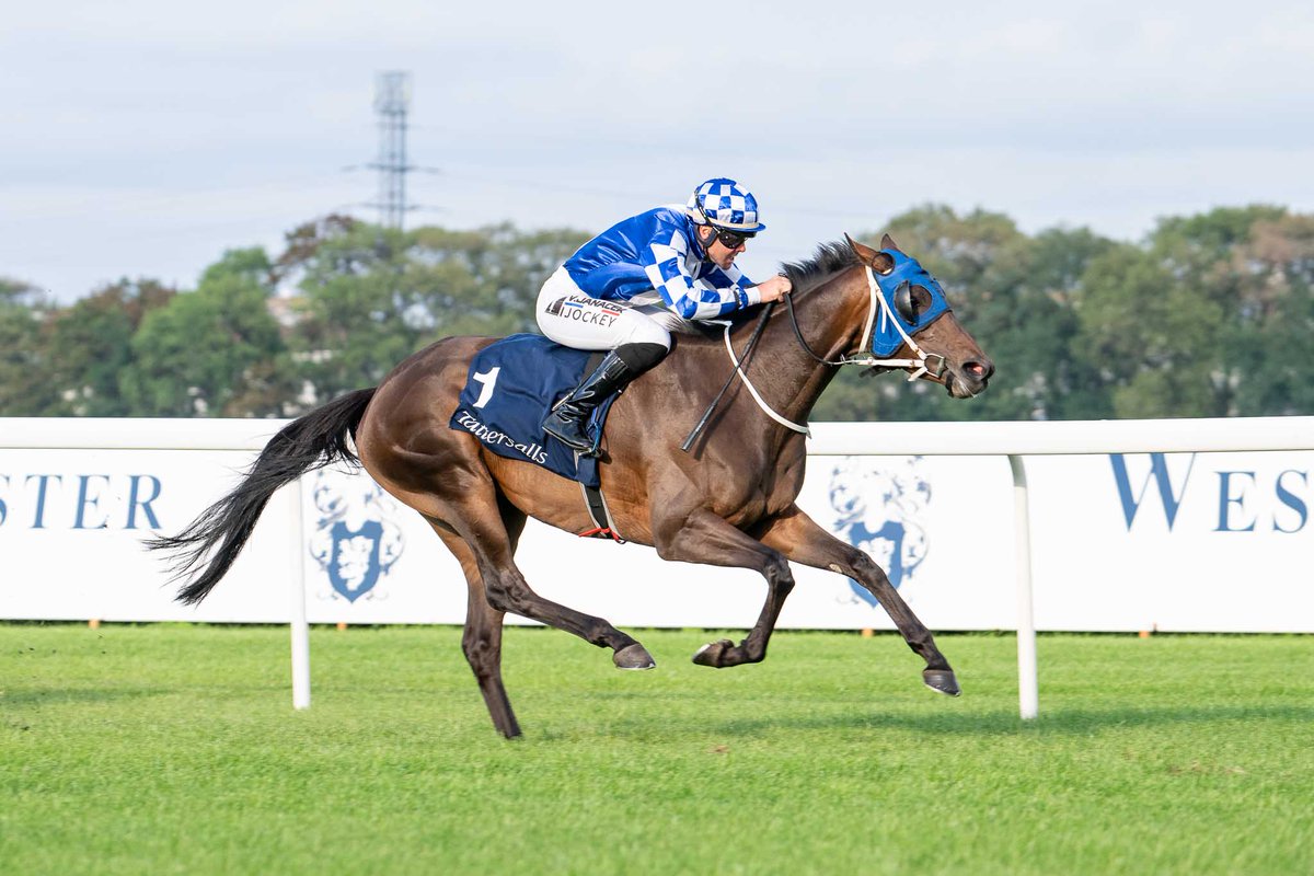 Tattersalls tweet media