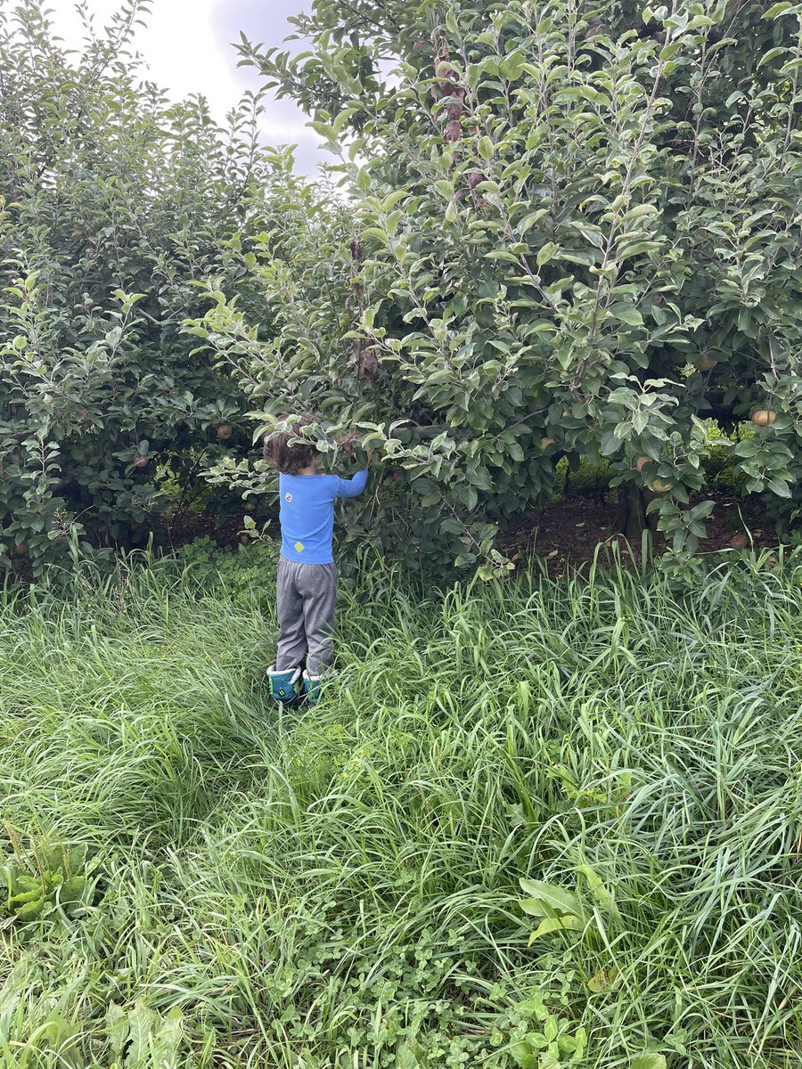 DejahJudelson's tweet photo. Starting #STEPember with apple picking!! @VascularSVS #STEPforSVS
We step for PAD awareness, 60 miles!
Donate to support our patients here:
I’d appreciate your support for my fundraiser https://t.co/hoy265O74w
@ProleneQueen @AndresSchanzer @limbsalvagedr @jmills1955 https://t.co/51AeGG59ly